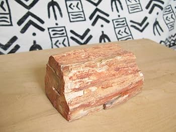 珪化木石 珪化木 原石 磨き 13.4kg｜天然石 原石 通販 キラリ石